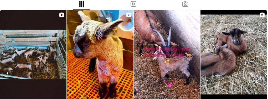 La Chèvrerie des coteaux sur Instagram